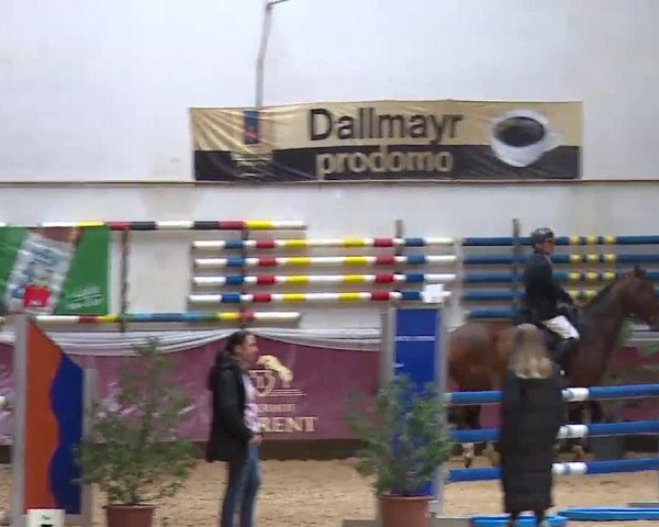 Reitturnier Eicherloh RH Laurent/Obb. 2023