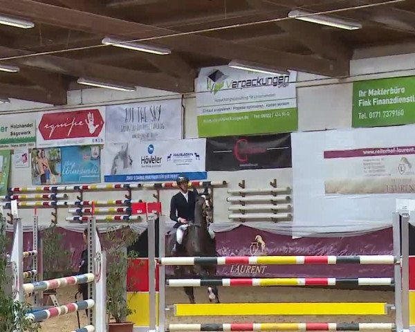 Reitturnier Eicherloh RH Laurent/Obb. 2023