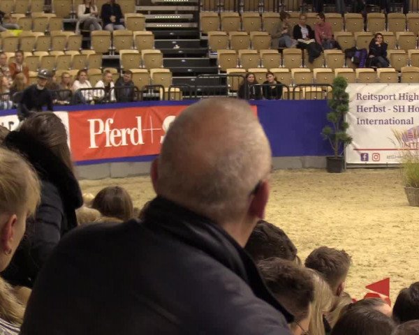FEI Reitturnier Neumünster (GER) 2021