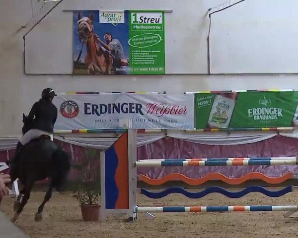 Reitturnier Eicherloh RH Laurent/Obb. 2023