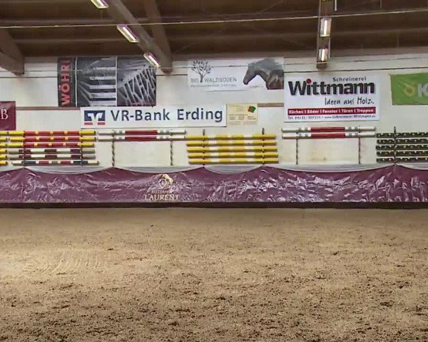 Reitturnier Eicherloh RH Laurent/Obb. 2023