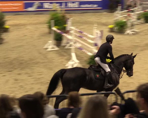 FEI Reitturnier Neumünster (GER) 2021