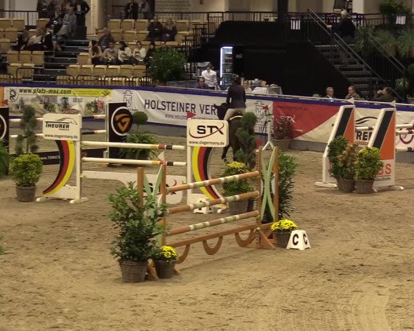 FEI Reitturnier Neumünster (GER) 2021