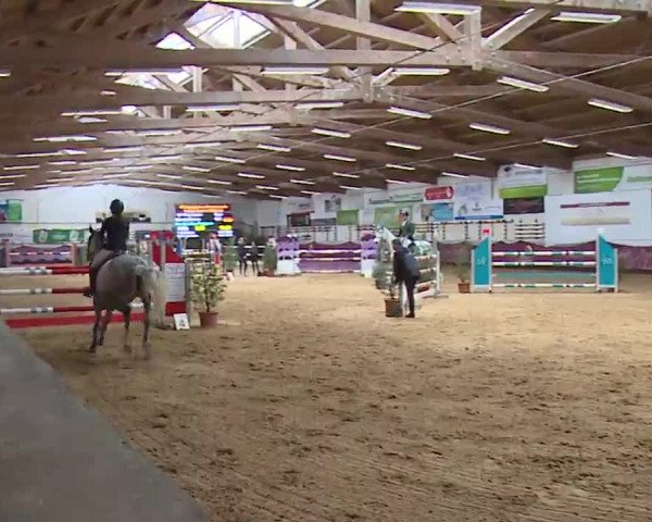 Reitturnier Eicherloh RH Laurent/Obb. 2023
