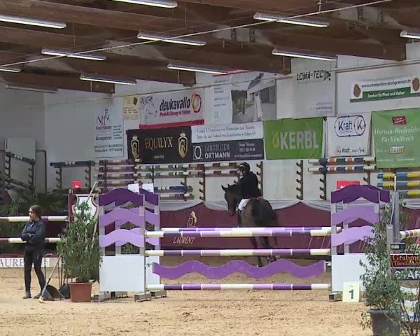 Reitturnier Eicherloh RH Laurent/Obb. 2023