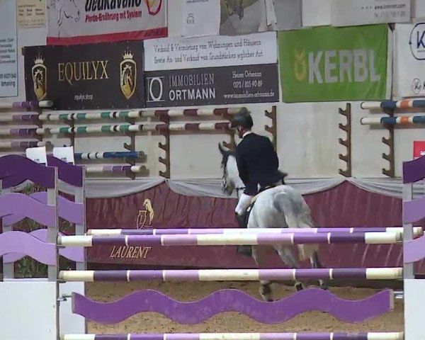 Reitturnier Eicherloh RH Laurent/Obb. 2023