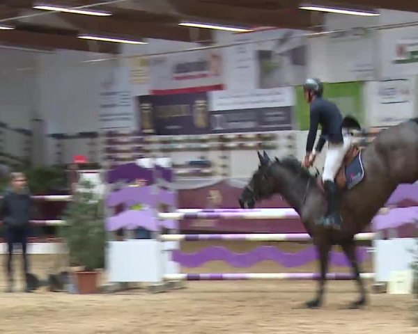 Reitturnier Eicherloh RH Laurent/Obb. 2023