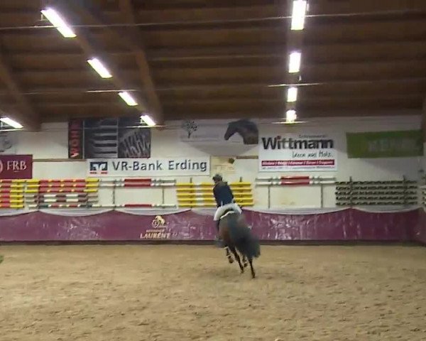 Reitturnier Eicherloh RH Laurent/Obb. 2023