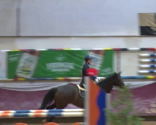 Reitturnier Eicherloh RH Laurent/Obb. 2023
