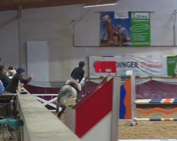 Reitturnier Eicherloh RH Laurent/Obb. 2023