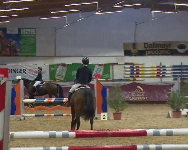 Reitturnier Eicherloh RH Laurent/Obb. 2023