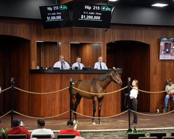 horse Tennessee xx (Thoroughbred, 2021, from Justify xx)