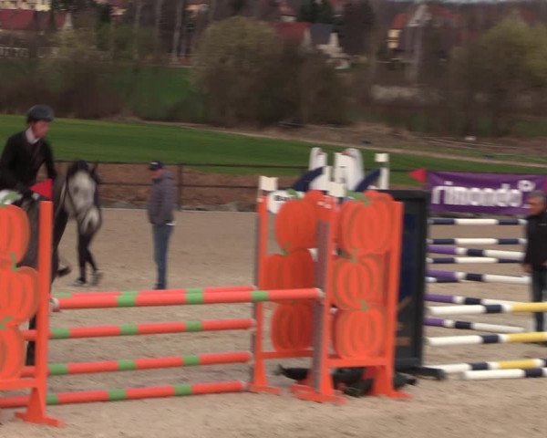Reitturnier Zwickau 2023