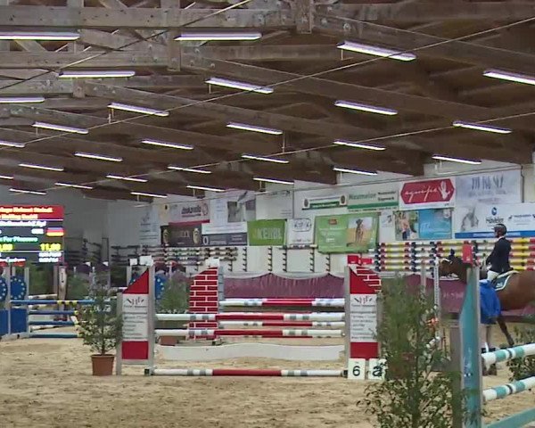 Reitturnier Eicherloh RH Laurent/Obb. 2023
