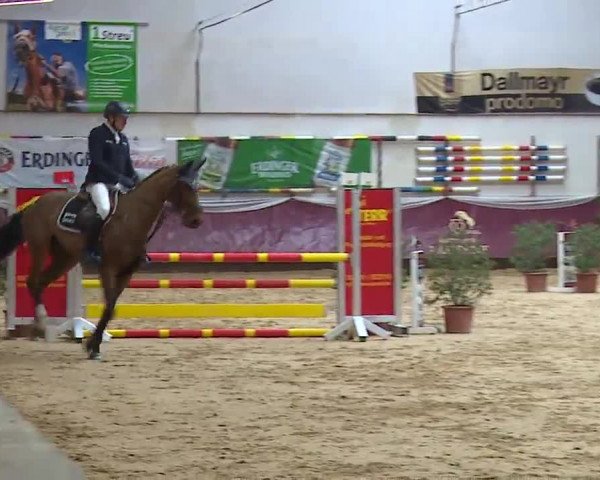 Reitturnier Eicherloh RH Laurent/Obb. 2023