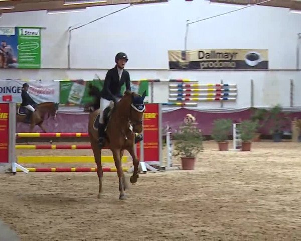 Reitturnier Eicherloh RH Laurent/Obb. 2023
