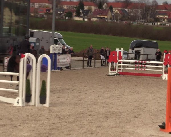 Reitturnier Zwickau 2023