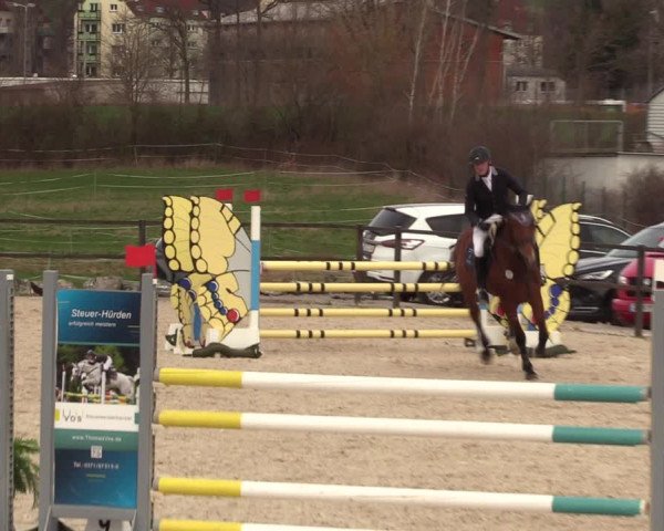 Reitturnier Zwickau 2023
