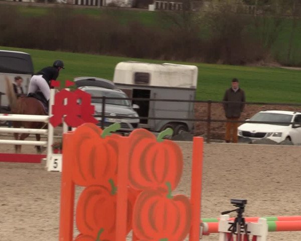 Reitturnier Zwickau 2023