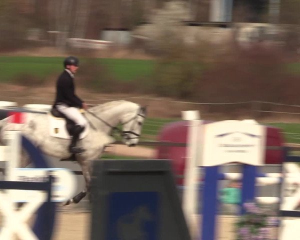 Reitturnier Zwickau 2023