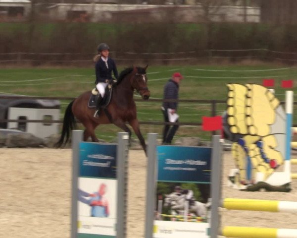Reitturnier Zwickau 2023