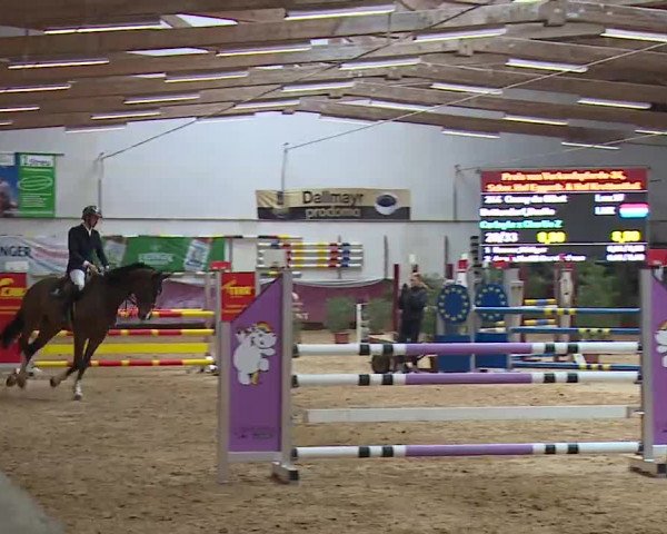 Reitturnier Eicherloh RH Laurent/Obb. 2023