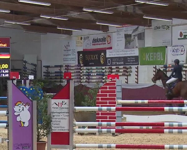 Reitturnier Eicherloh RH Laurent/Obb. 2023