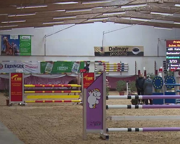 Reitturnier Eicherloh RH Laurent/Obb. 2023