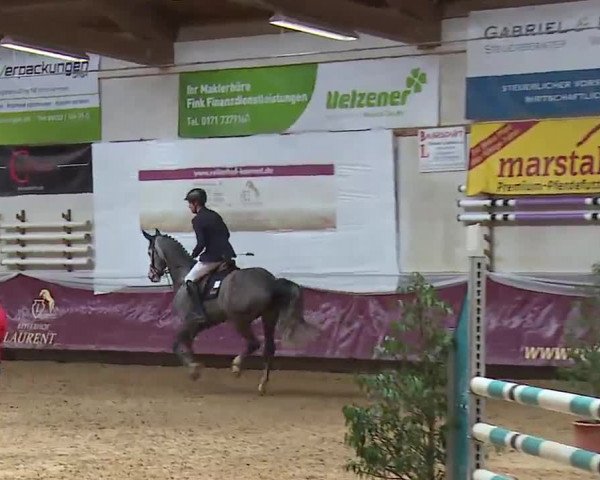 Reitturnier Eicherloh RH Laurent/Obb. 2023