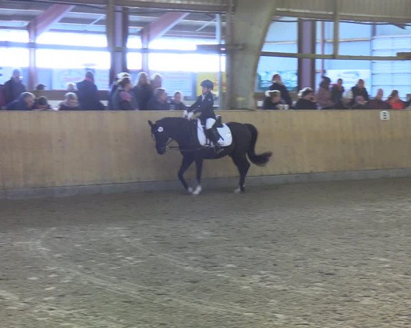 Reitturnier Sörup 2021