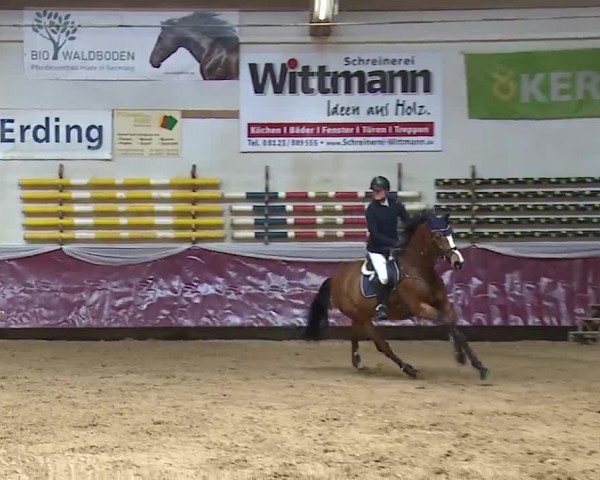 Reitturnier Eicherloh RH Laurent/Obb. 2023