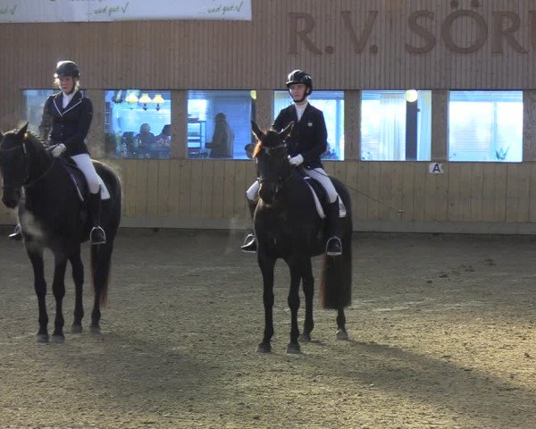 Reitturnier Sörup 2021