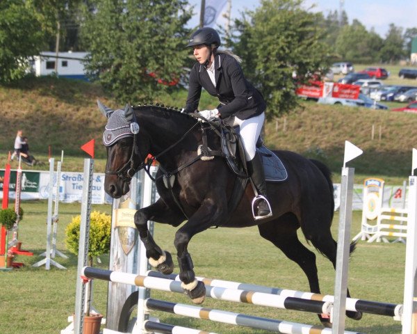 dressage horse Bounty 261 (Bavarian, 2010, from Blickpunkt 4)