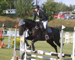 dressage horse Bounty 261 (Bavarian, 2010, from Blickpunkt 4)
