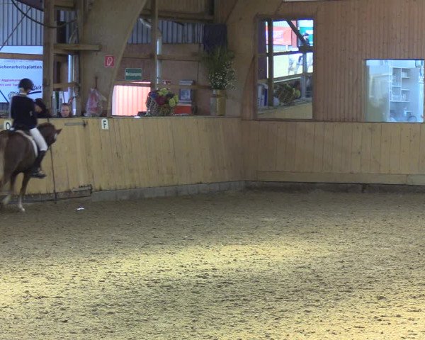 Reitturnier Sörup 2021