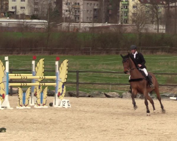 Reitturnier Zwickau 2023
