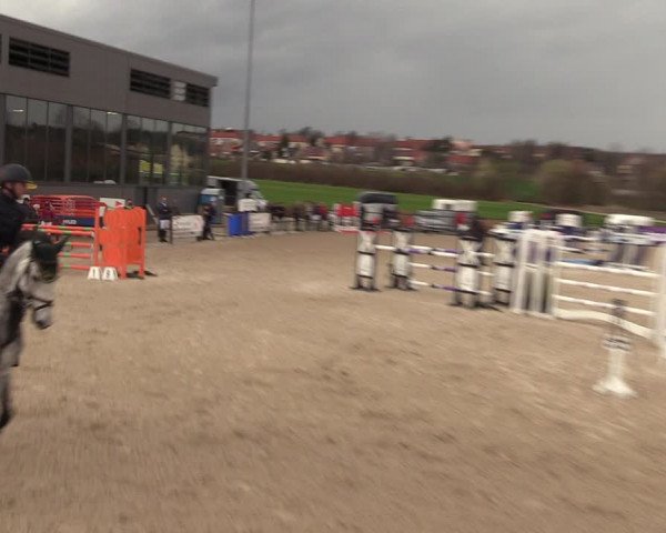 Reitturnier Zwickau 2023