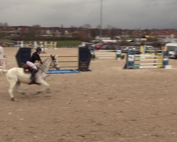 Reitturnier Zwickau 2023