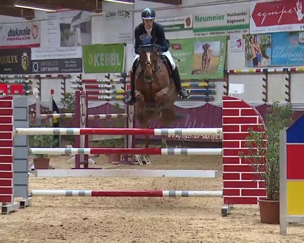 Reitturnier Eicherloh RH Laurent/Obb. 2023