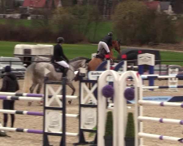Reitturnier Zwickau 2023