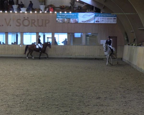 Reitturnier Sörup 2021