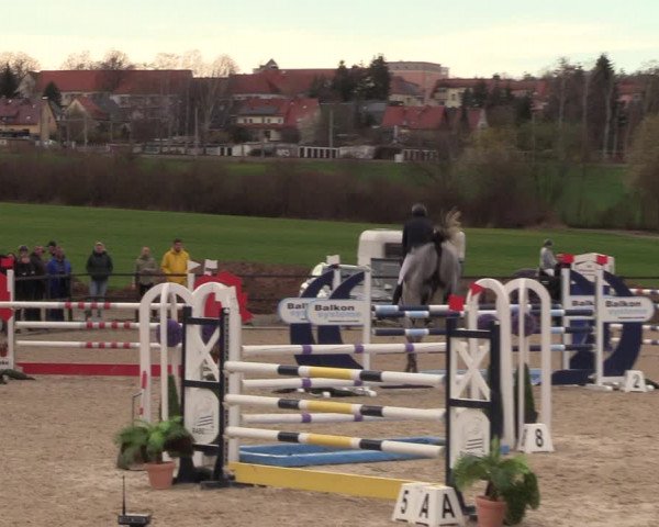 Reitturnier Zwickau 2023
