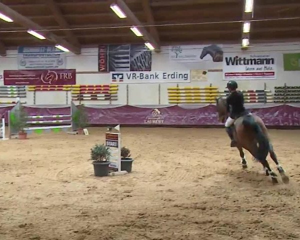 Reitturnier Eicherloh RH Laurent/Obb. 2023