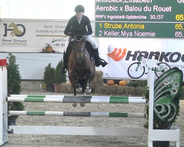 Reitturnier Karlsfeld/Obb. 2021