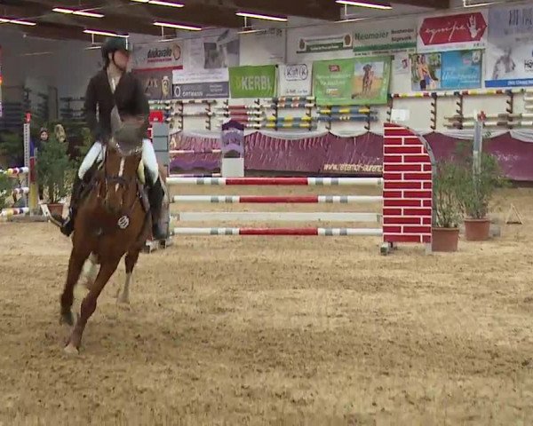 Reitturnier Eicherloh RH Laurent/Obb. 2023