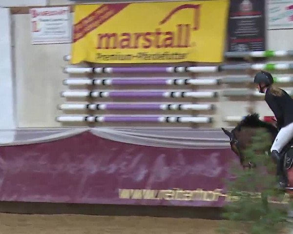 Reitturnier Eicherloh RH Laurent/Obb. 2023