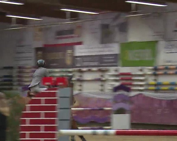 Reitturnier Eicherloh RH Laurent/Obb. 2023