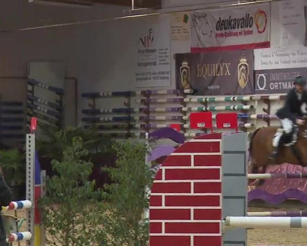 Reitturnier Eicherloh RH Laurent/Obb. 2023