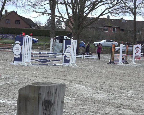 Reitturnier Handorf 2023