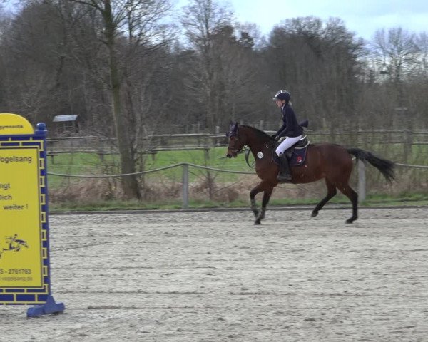 Reitturnier Handorf 2023